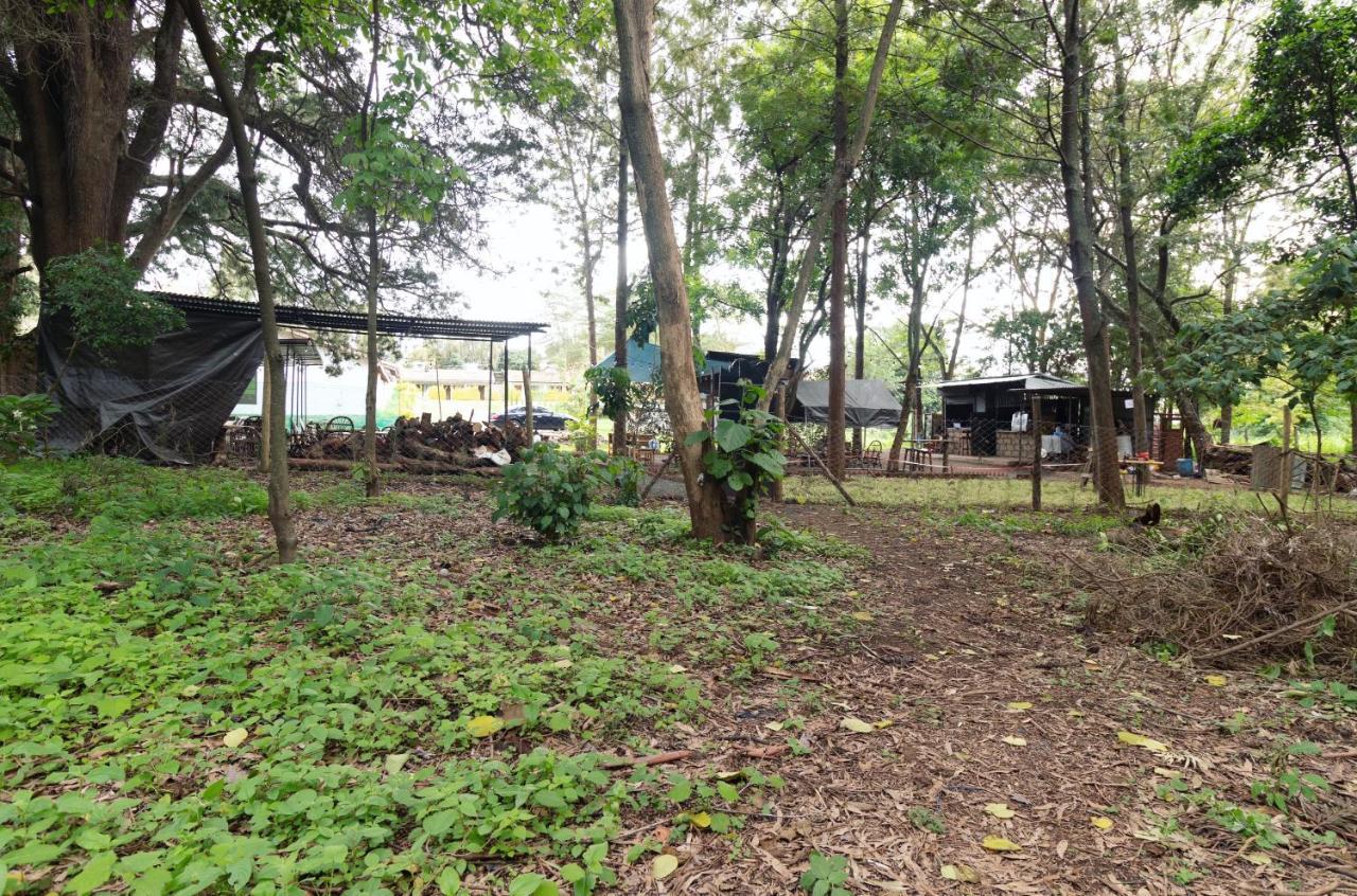 Arabel'S Place Riverside Villas Nanyuki Exterior photo